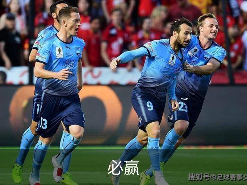 关于必赢